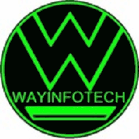 Wayinfotech logo