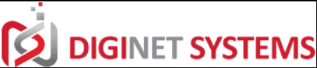 Diginet Systems PVT LTD logo