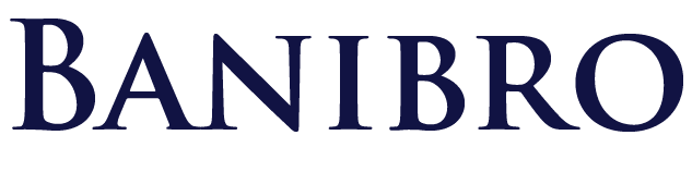 Banibro IT Solutions Private Limited