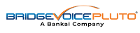 BridgeVoice Inc
