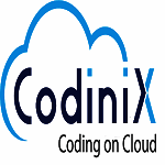 Codinix Technologies Inc