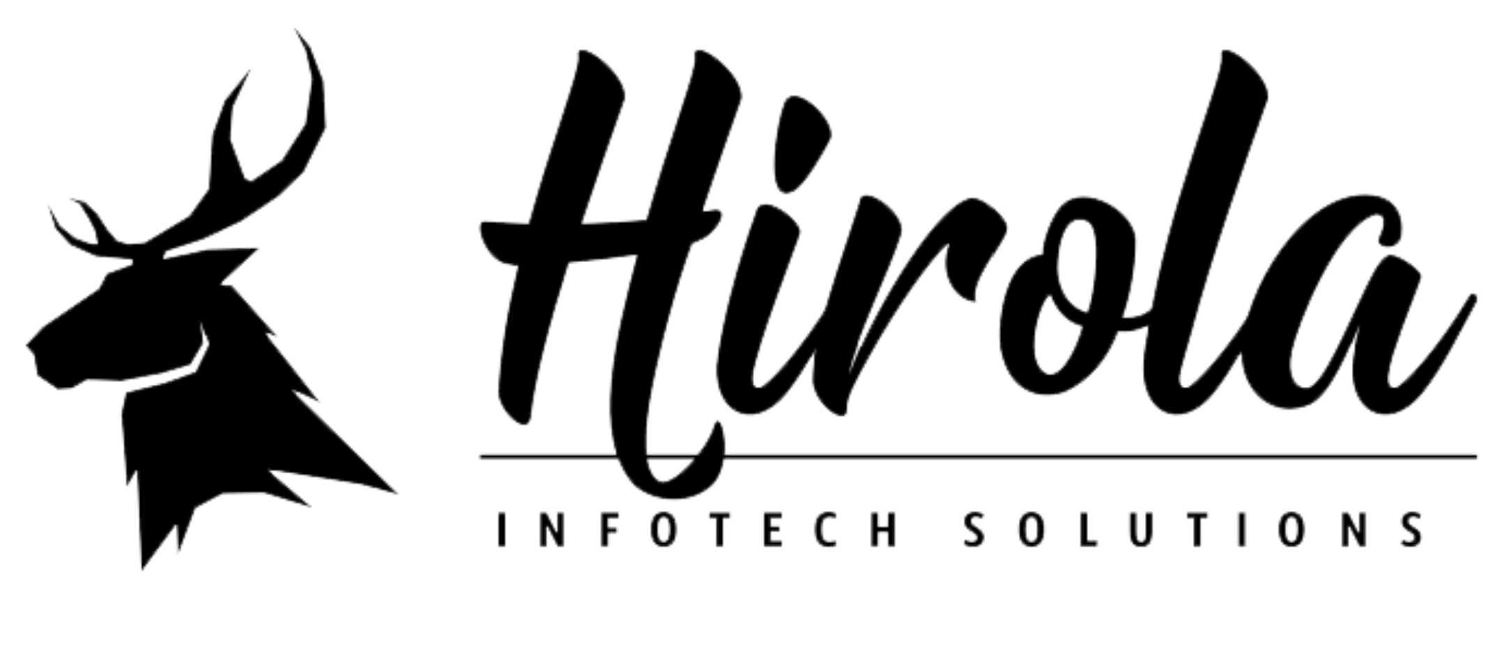 Hirola Infotech Solutions Pvt Ltd logo