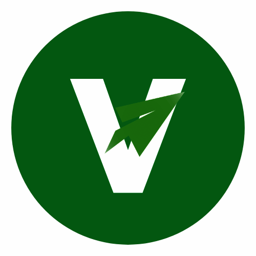 Visernic Limited logo