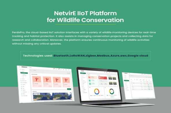 NetvirE - Pricing, Features, and Details in 2026