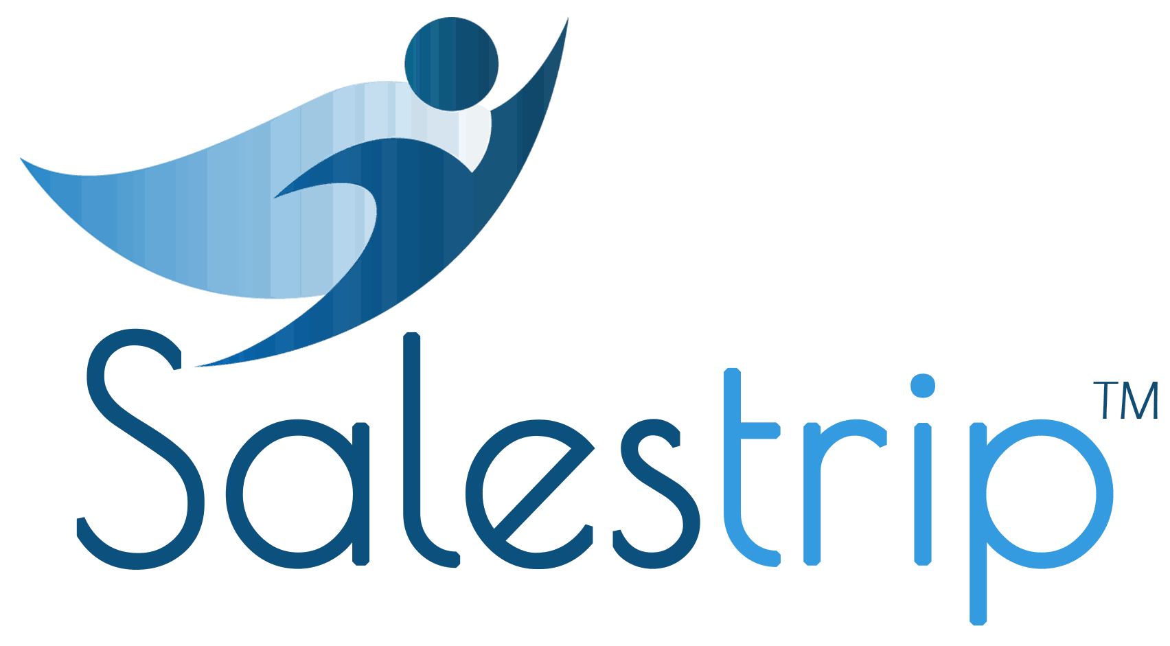 Salestrip SFA screenshot