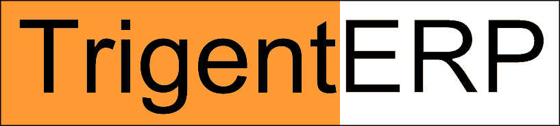 TrigentERP logo