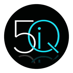 5iQ Workshop logo