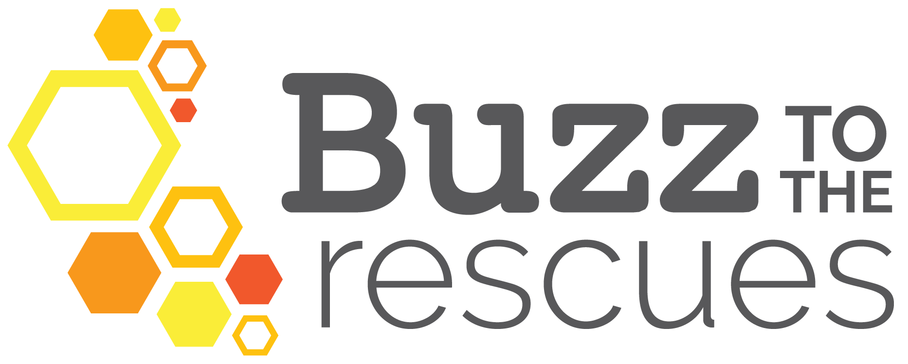 Buzz to the Rescues logo