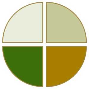 BSC Designer logo