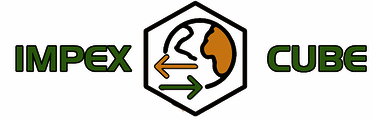 ImpexCube
